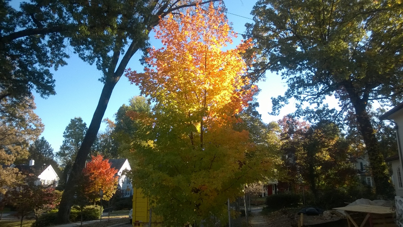 Illustration for article titled 48 Photos Of Autumn Around The World